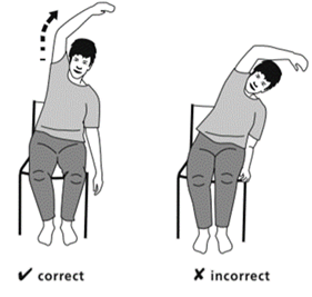 Flexibility exercises part 1