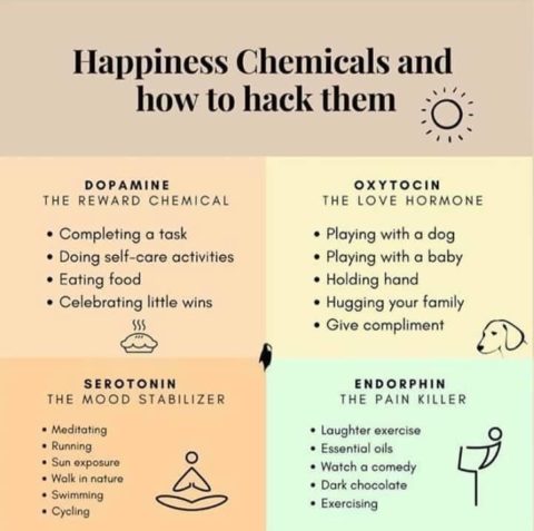 Hormone endorphin Happy Hormones: