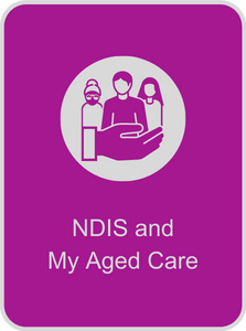Parknsons NSW NDIS Grey (6)