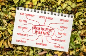 Brain plasticity