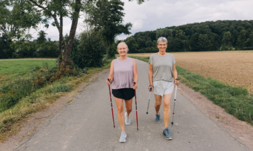 Friends walking with walking sticks.