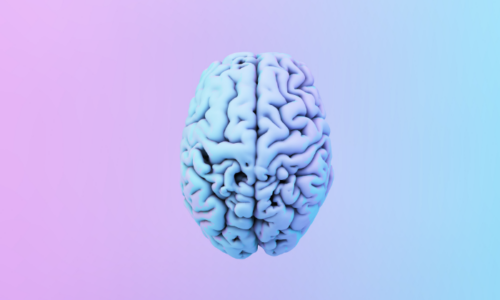 Blue brain graphic on pink and blue background