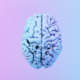 Blue brain graphic on pink and blue background