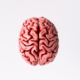 Pink brain graphic