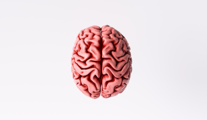 Pink brain graphic