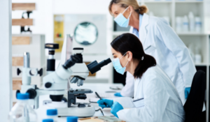 Clinical studies