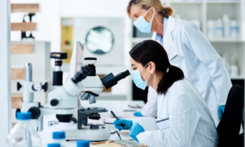 Clinical studies