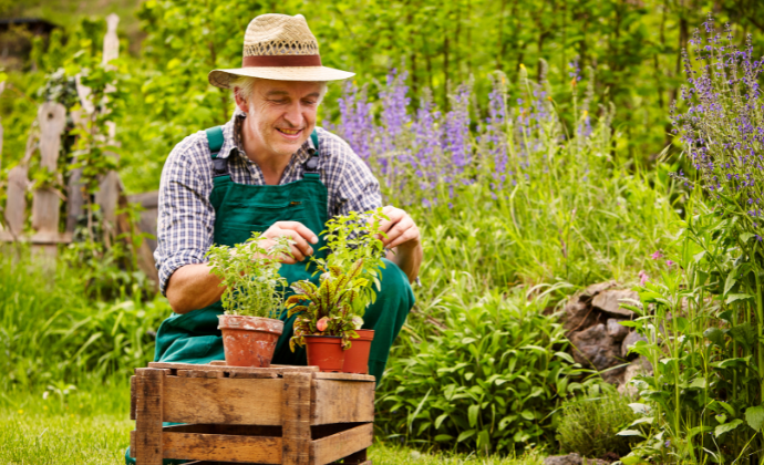 Man gardening
