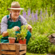 Man gardening
