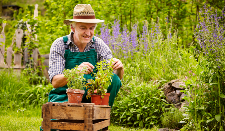 Man gardening
