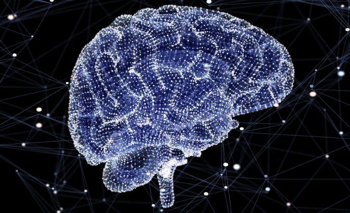 Brain graphic