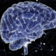 Brain graphic